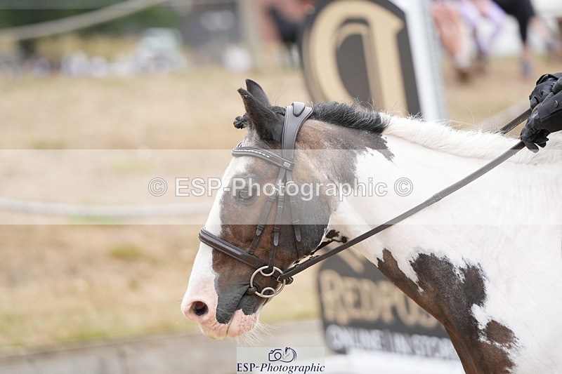 250820A-101031-02247 - Round 2, 9.45 to 10.45 Break