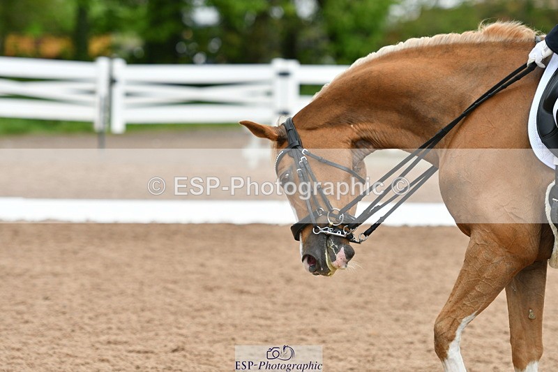 230511A-160337-01282 - BD Cls 18 FEI PSG