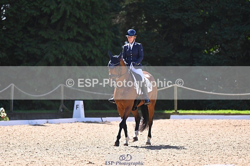 240809-111154-00513 - 133-Dawn.Bear-First.Taylor.Made