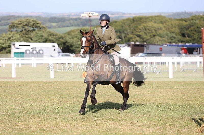 JPP_3136 - Class 21: Working Hunter 80cm