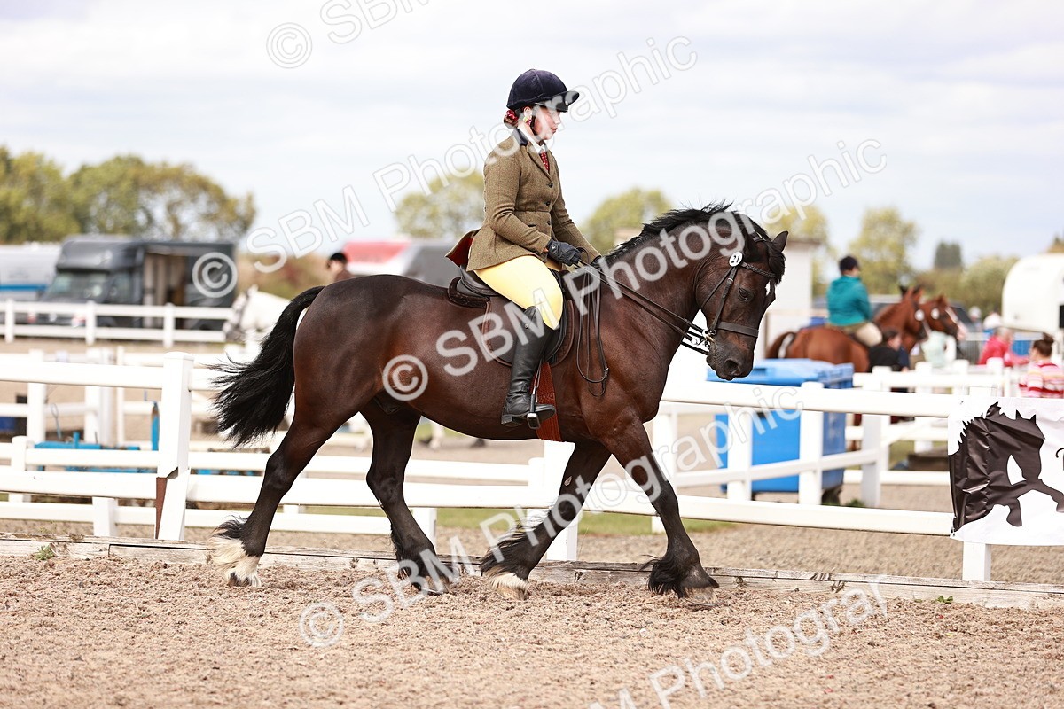 SBM_18378 - Class 418 - Best Condition - Jnr