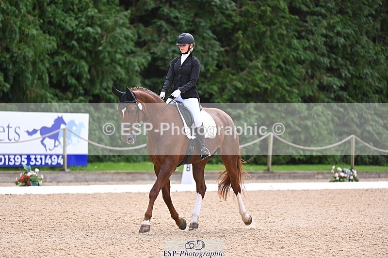 240809-121602-00714 - 185-Daisy.Hedges-Felicia.v