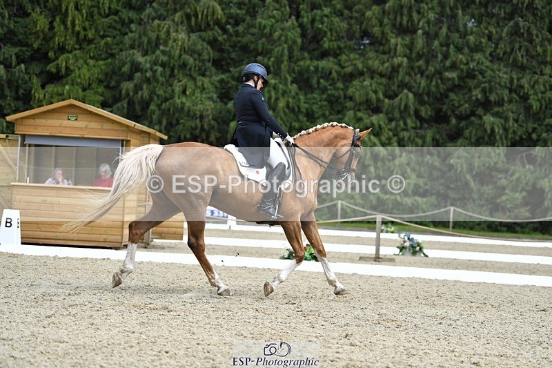 230812-144041-04772 - Cls 7 FEI PSG Bronze