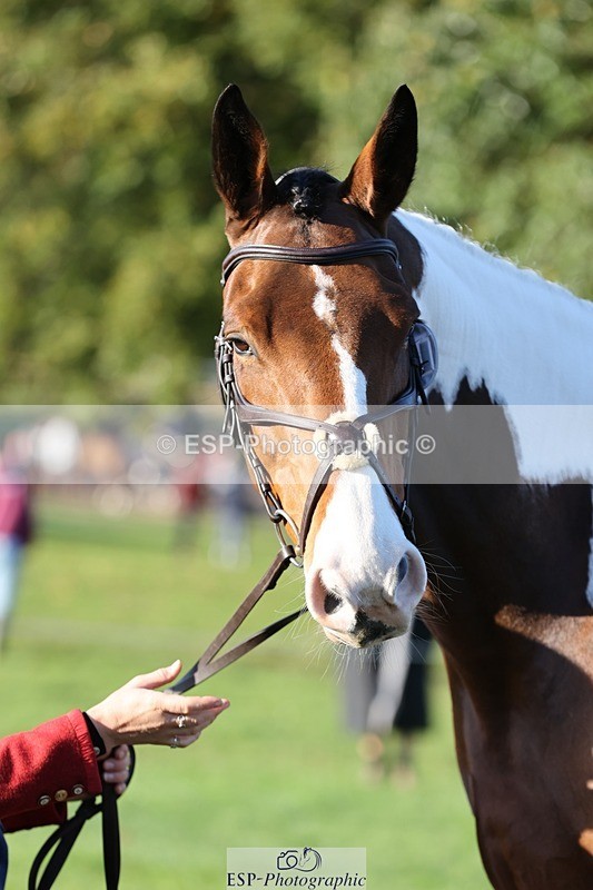 241027-090413-15008 - 304-Rachel.Brockington-LYNWOOD.CLEAR.CUT