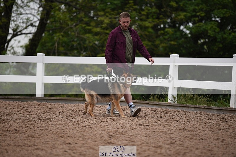 240518A-124754-01204 - Cls 5 Best Purebred