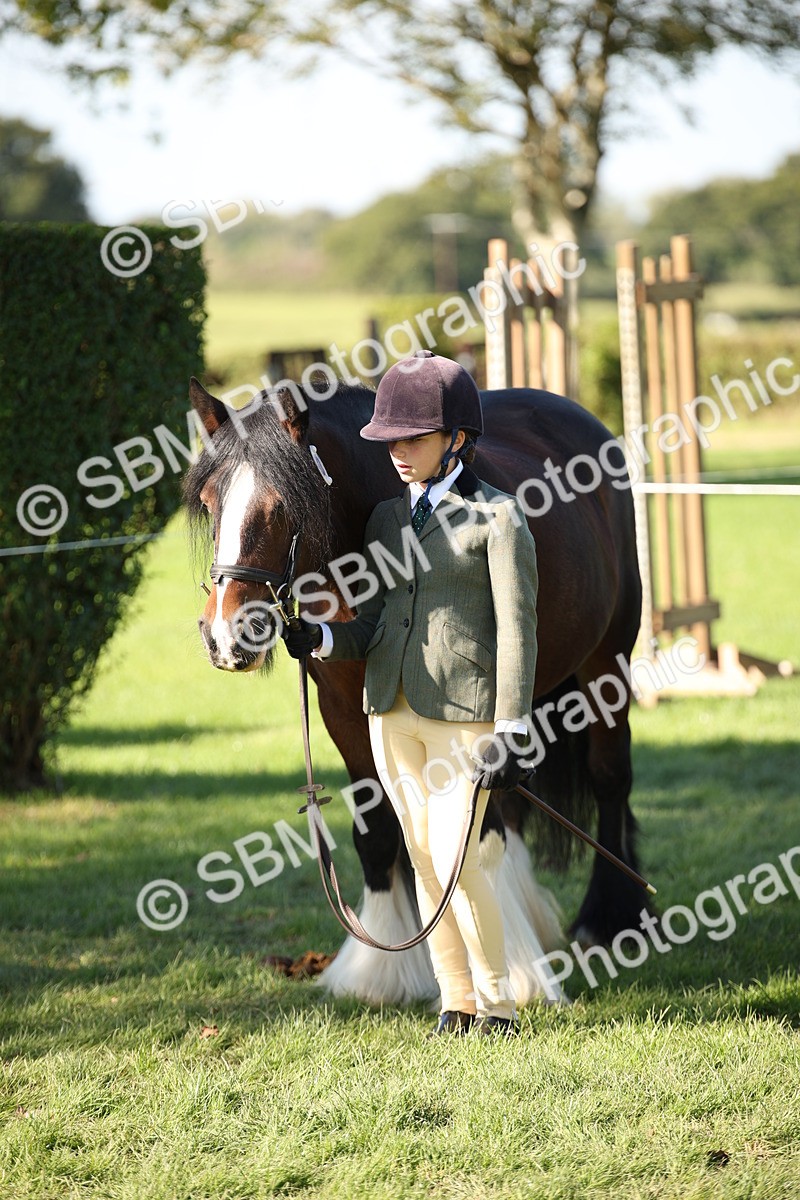 SBM_36679 - S10 - Best In Hand Horse & Pony
