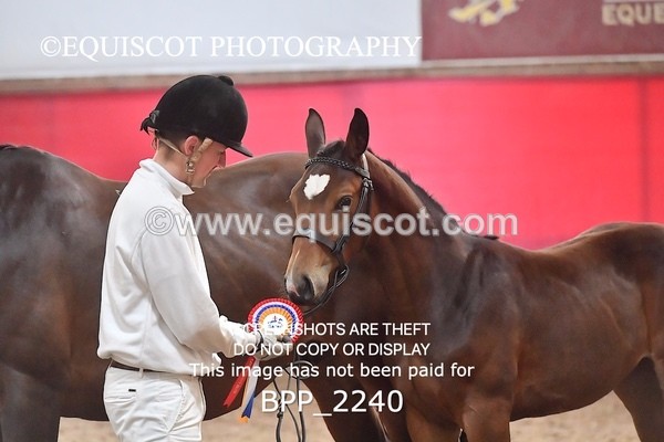 BPP_2240 - AFTERNOON 12.30 - 3.30PM