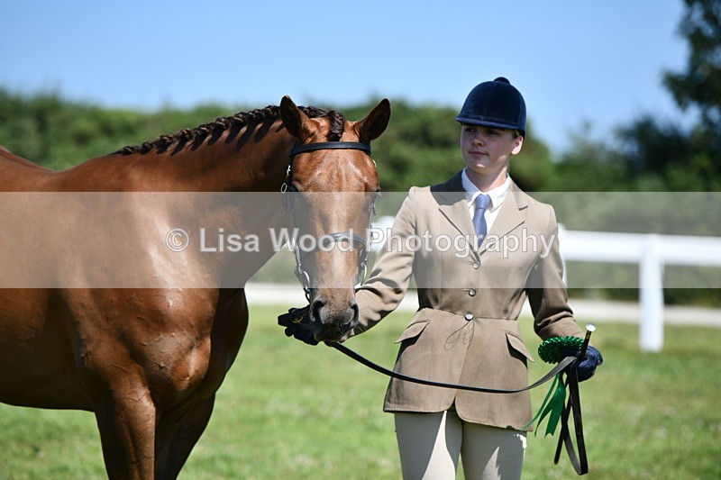 DSC_6861 - Class 57: Hunter/Riding Horse/Hack 1, 2 & 3 yr olds
