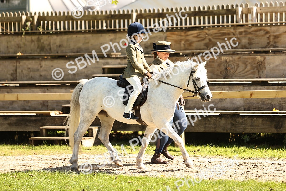 SBM_19311 - S3 - TSR Ridden Pony Showing