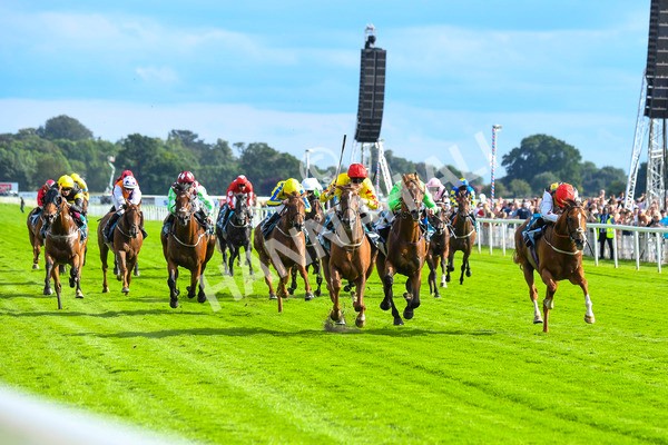 280723-Race 2-Quest For Fun-0199 - Race 2 5.30pm eventmasters.co.uk Handicap