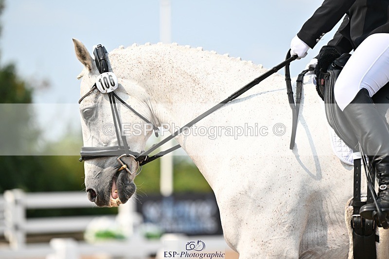 250816-135547-04795 - 106-Anita.WilcoxCasper.Rebel