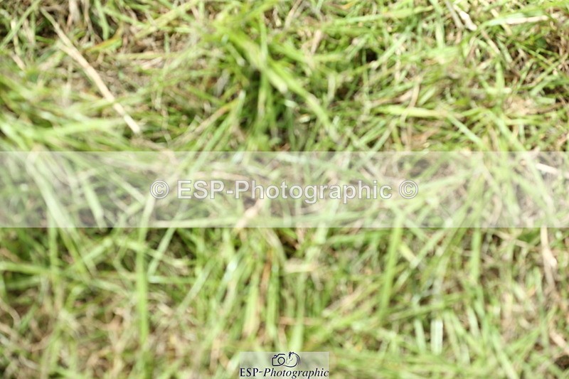 230820A-134159-00281 - Cls 2 Discovery & Open