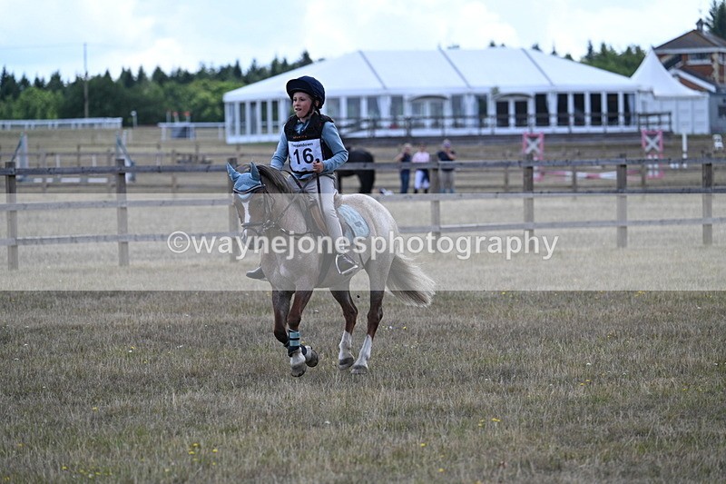 WJ7_0404 - 40cm Time 11:47 to 12:01