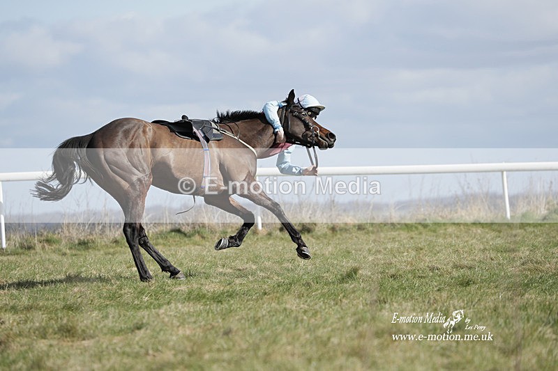 PtP 260223 498 - South & West Wilts Point-to-Point Larkhill 26/02/23