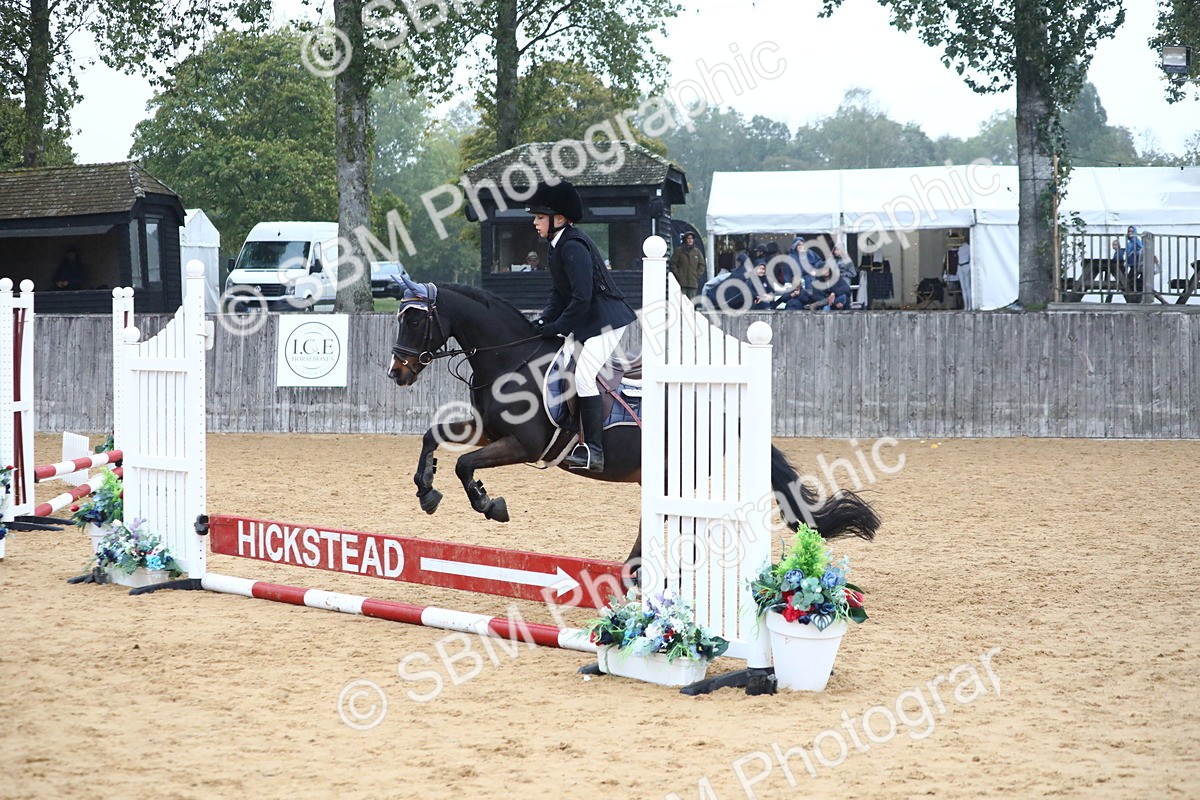 SBM_71790 - J4 - Mini Tour Junior Pony 45cm Championship