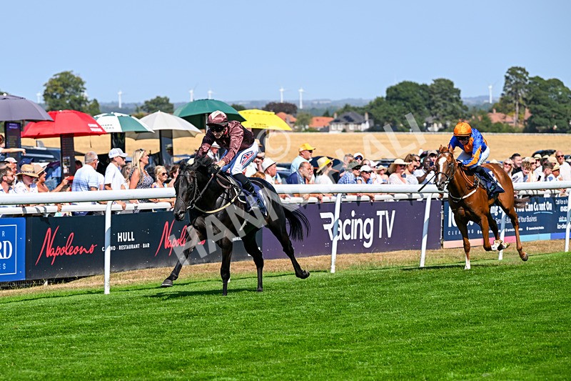 130826-Race 2-Concert Pitch-8360 - Race 2 14.45pm Welcome Racing TV Club Members Nursery Handicap