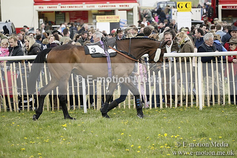 PtP 170417 113 - Old Berks Point-to-Point Lockinge 17/04/17