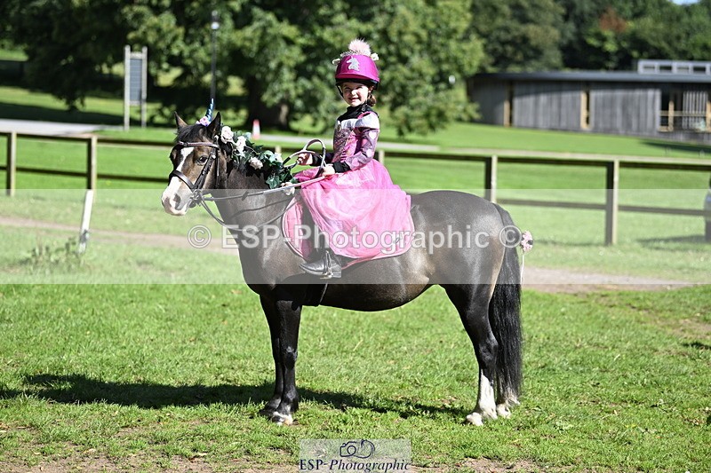 240728B-094438-00106 - Sunday Stable Shots and Fancy Dress