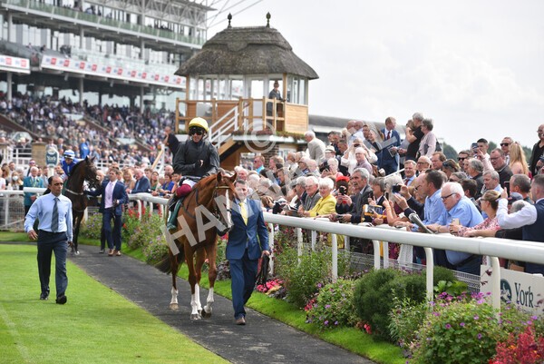 yr20082021r2-31 - Race 2 2.25pm Weatherbys Hamilton Lonsdale Cup (British Champion Series race)