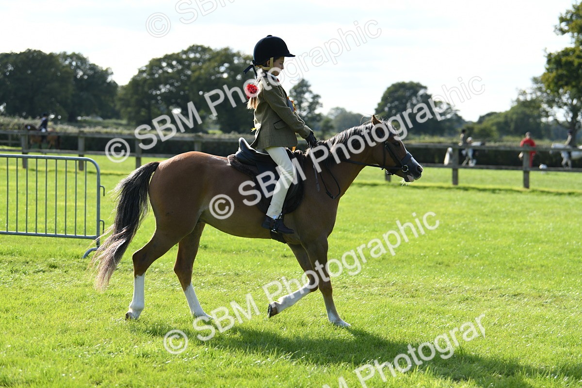 SBM_50523 - S21 - Novice & Newcomers 1st Ridden Pony