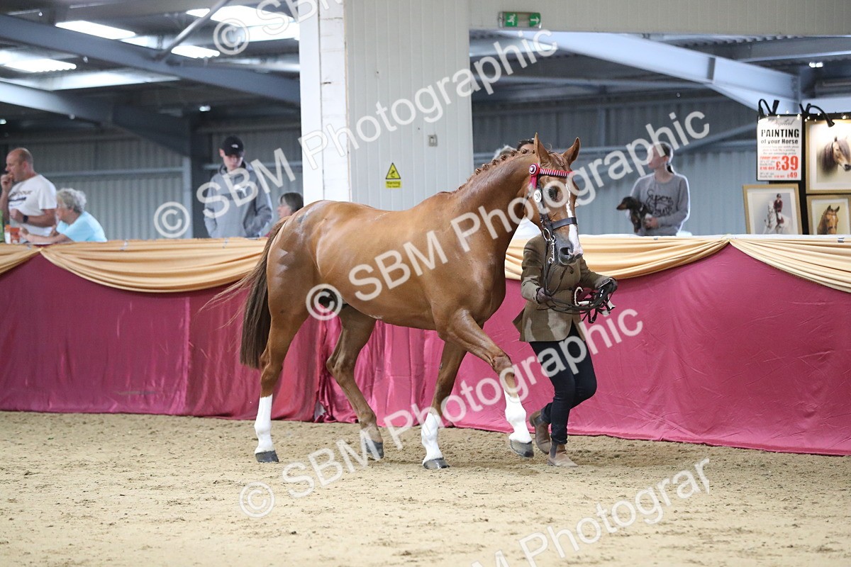 SBM_05076 - Class 8R- Regional -IH Veteran