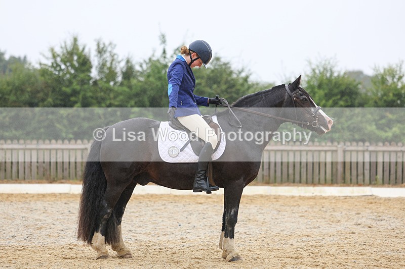 3E7A8439 - Class 2: Intro 3 2024 section B