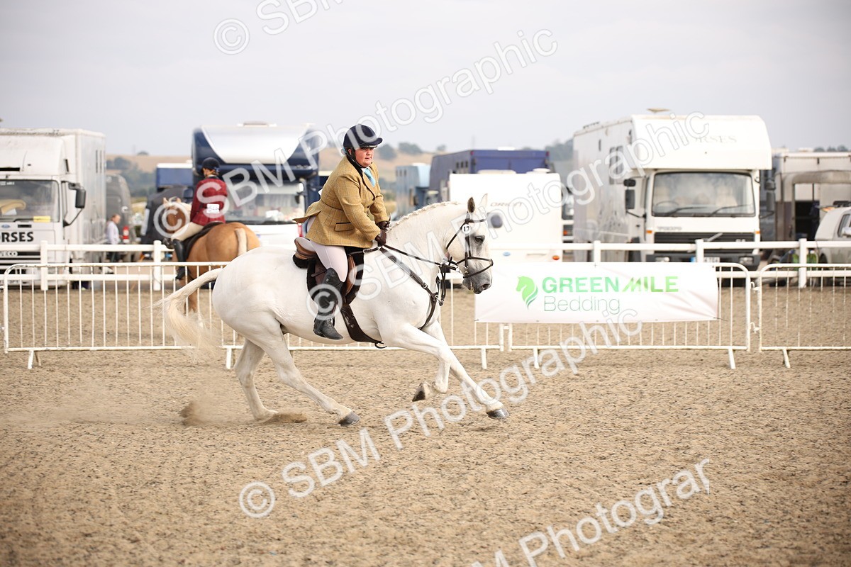 SBM_17274 - Class 410a - Wor5king Veteran 90cm (15-19)