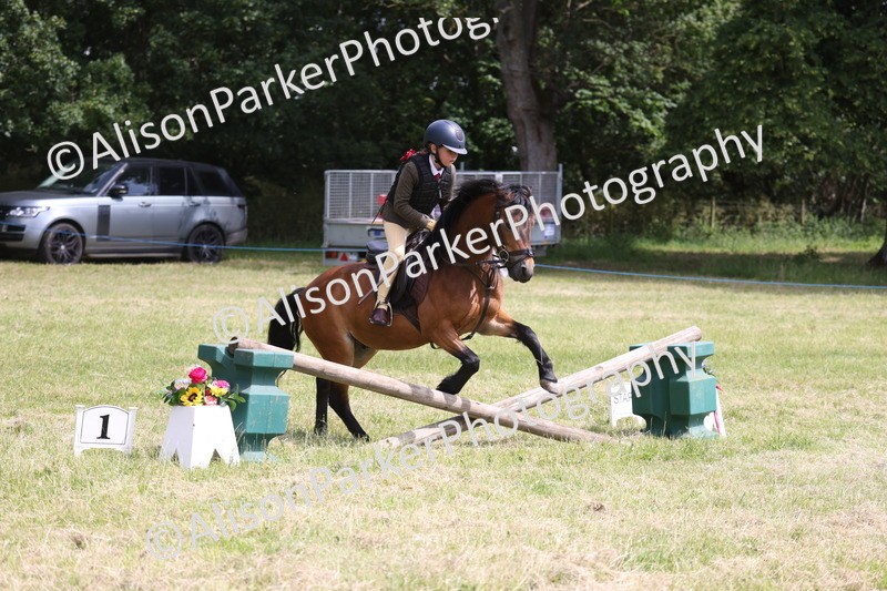 20260614-1810 - Class 21 - Novice Working Hunter Pony
