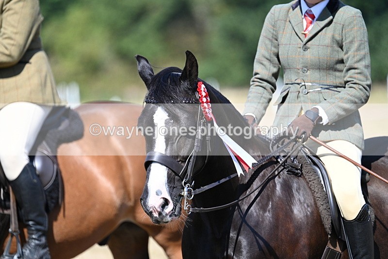 WJ7_4137 - Class 9 Mountain & Moorland Ridden