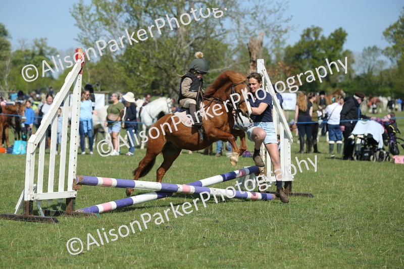 20250427-1156 - Class 1 - Mini Jumping Lead Rein or Assisted