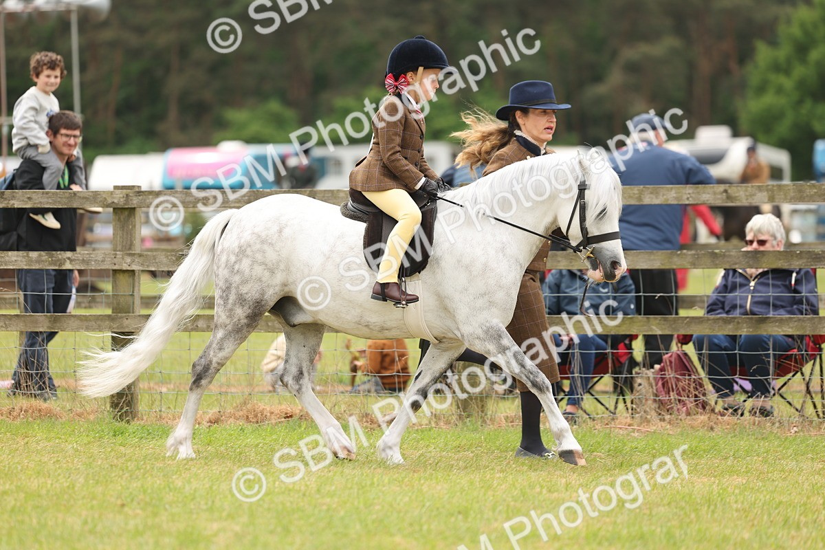 SBM_06699 - Class 74-75 - M&M Lead Rein and First Ridden Pony