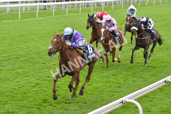 yr22052021r2-27 - Race 2 2.40pm William Hill Brontë Cup