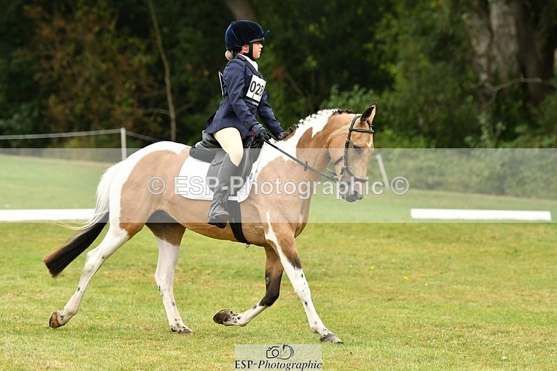 250820A-125131-05674 - 12 to 13.00