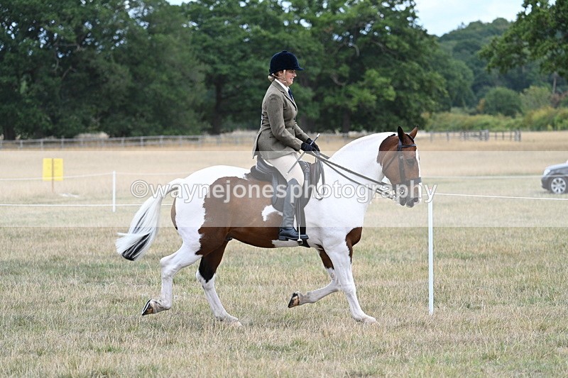 WJ7_4878 - Class 12 Ridden Cob