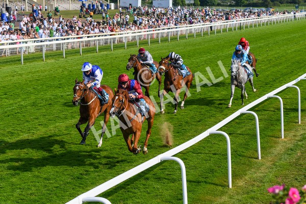 160623-Race 7-Diamond Bay-0777 - Race 7 5.21pm Constant Security Handicap