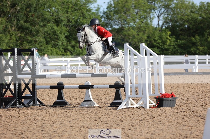 240629A-080118-02366 - Cls 16 British Novice and 80cm Open