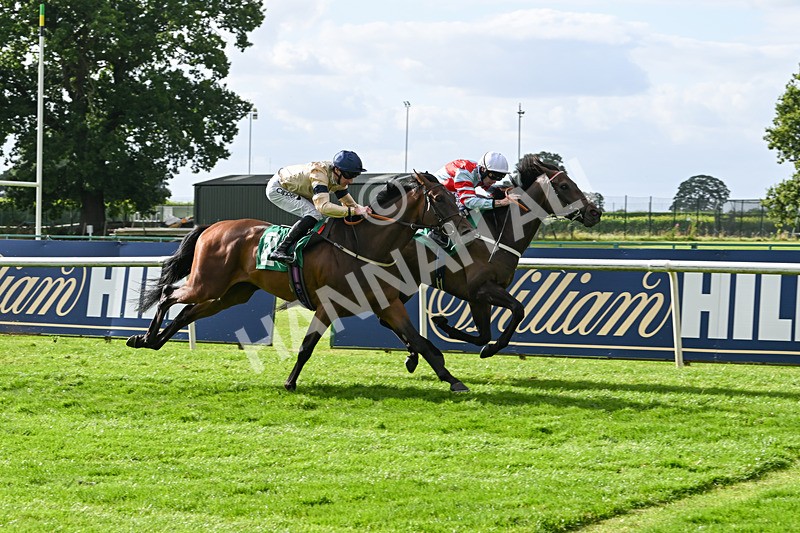 030824-Race 6-Night Breeze-1964 - Race 6