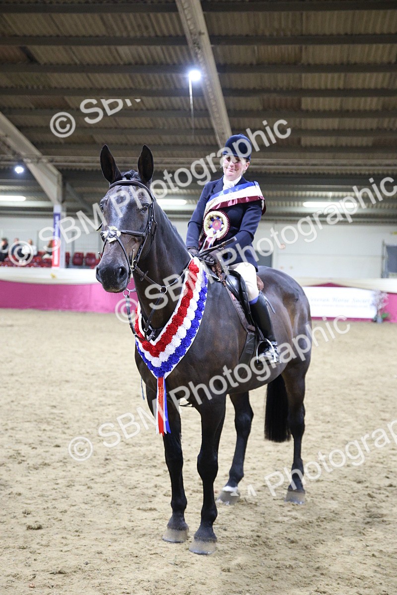 5K7A1621 - Class R Working Veteran Champ