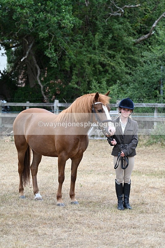 WJ7_8133 - Class 4 Prettiest Mare up to 14.2hh
