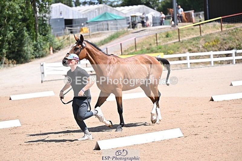250716-123112-00032 - Trot Up 12.30 to 1.30