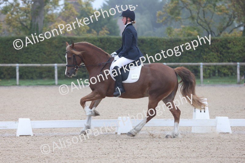 20251012-0021 - Class 1 - Prelim 5