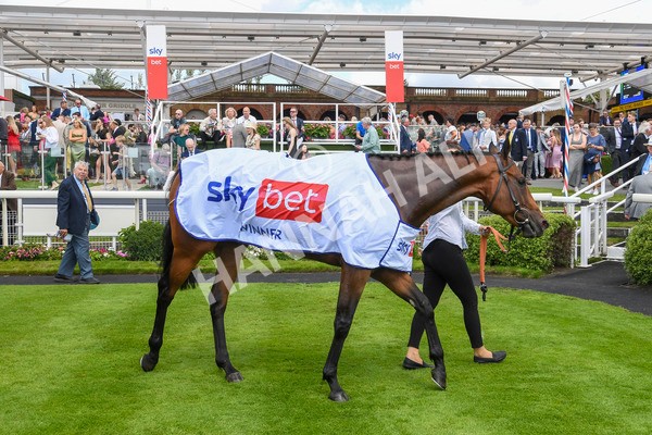 290723-Race 2-Aberama Gold-0205 - Race 2 2.40pm Sky Bet Dash Handicap