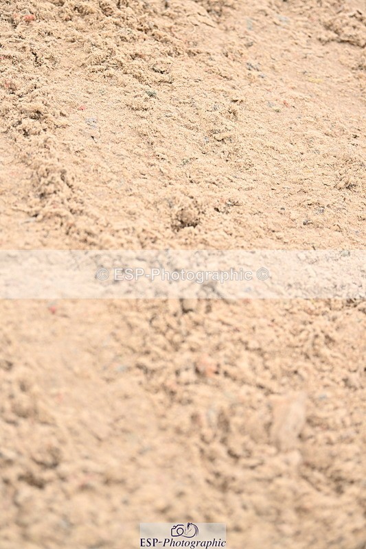 240501A-150415-01204 - Cls 8 Snr Foxhunter and 1.20m Open