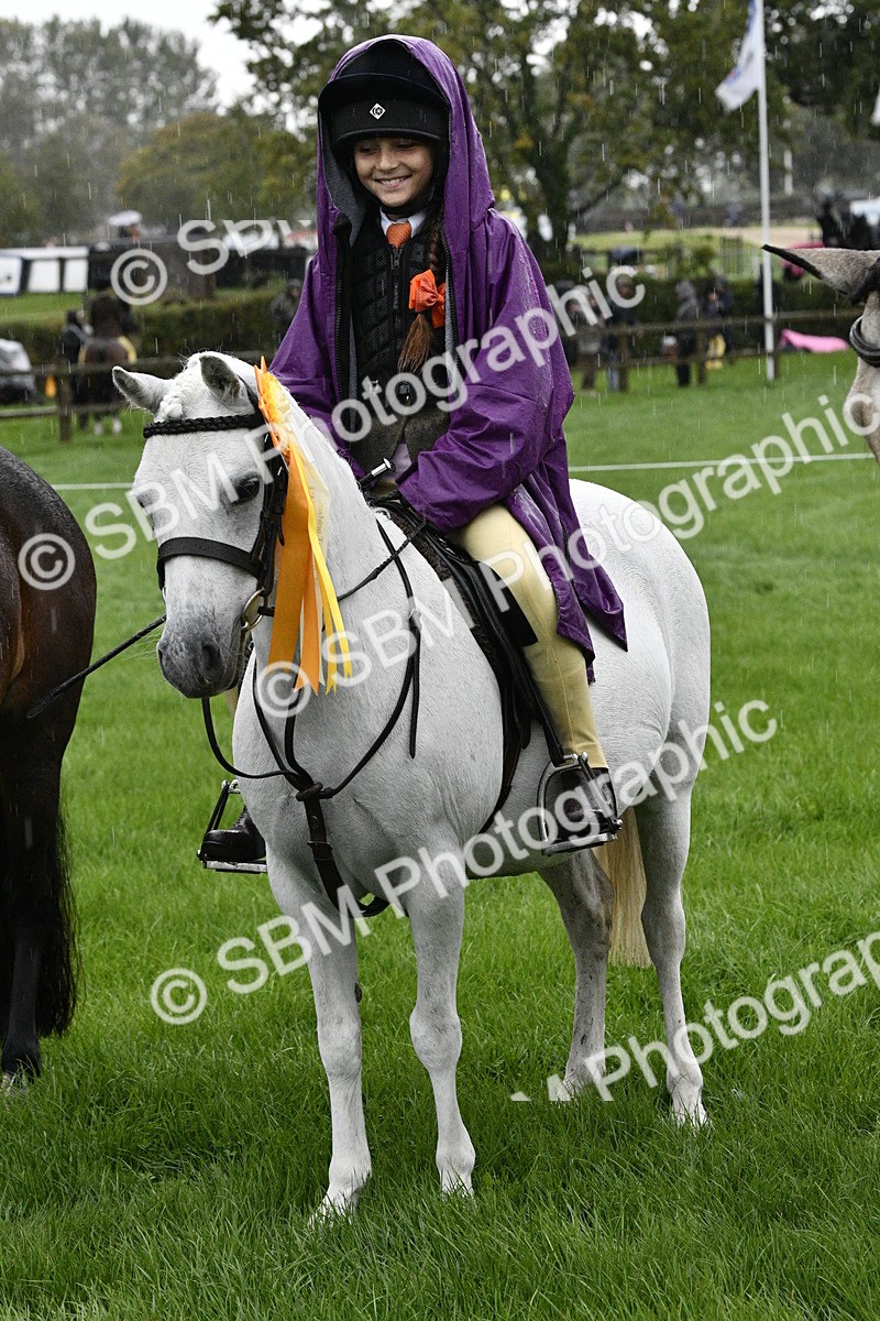 SBM_35591 - S30 - Nursery Stakes Working Hunter Pony