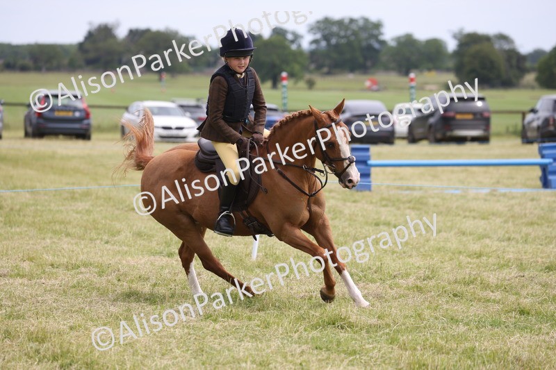 20260614-2904 - Class 22 - Open Working Hunter