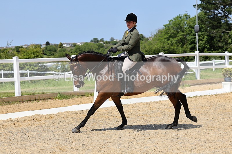 1X9A1885 - Class 12: Ridden Riding Horse/Hack