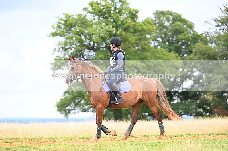 DSC_4935 - Time at Statue 11:10 to 11:42