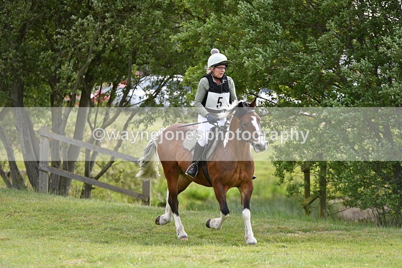 WJ5_2364 - Class 2 40cm