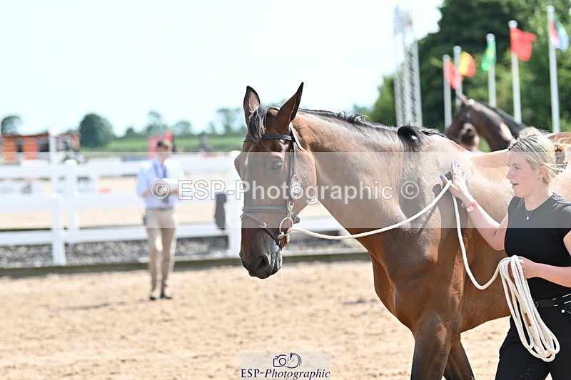 240717A-154526-03040 - Trot Up 3pm to 4pm