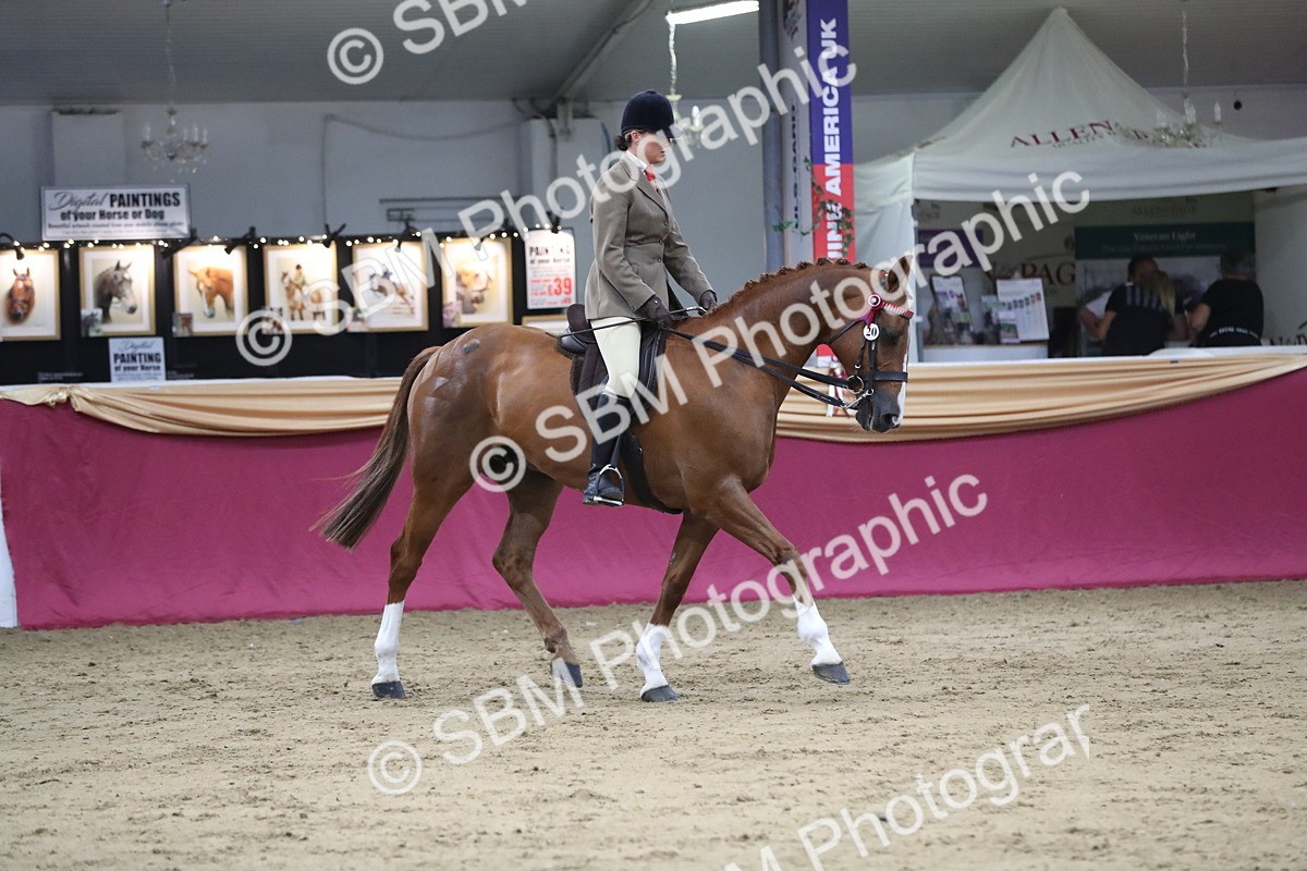 SBM_08430 - Class 11R Regional Ridden Veteran